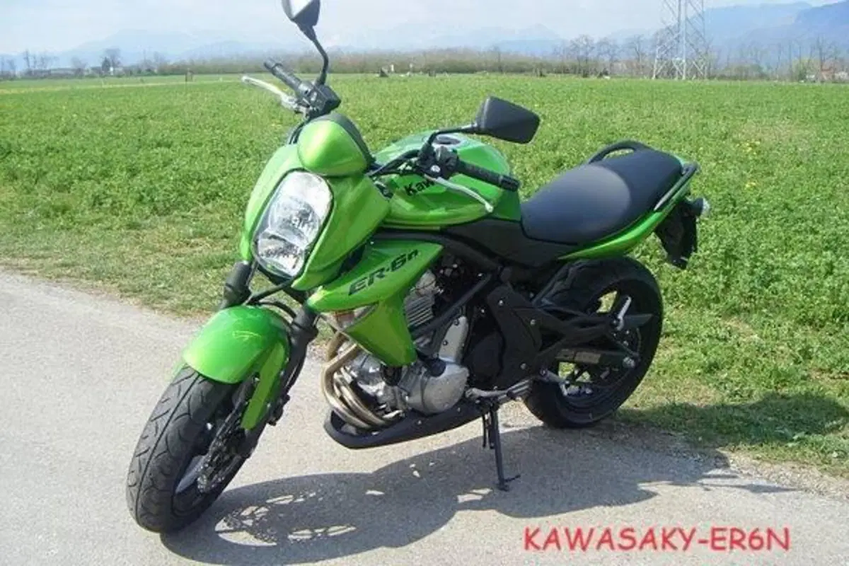 Kawasaki ER-6N (2006 - 09) (2)