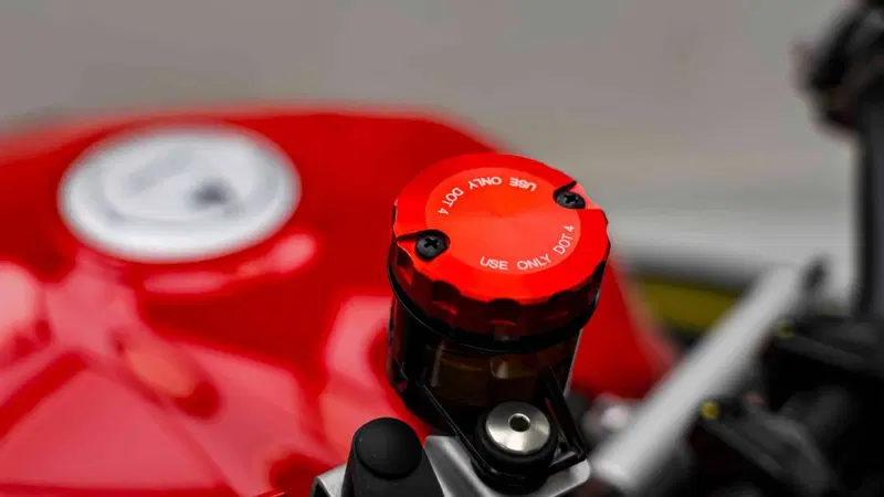 Ducati Streetfighter V2 (2022 - 24) (14)
