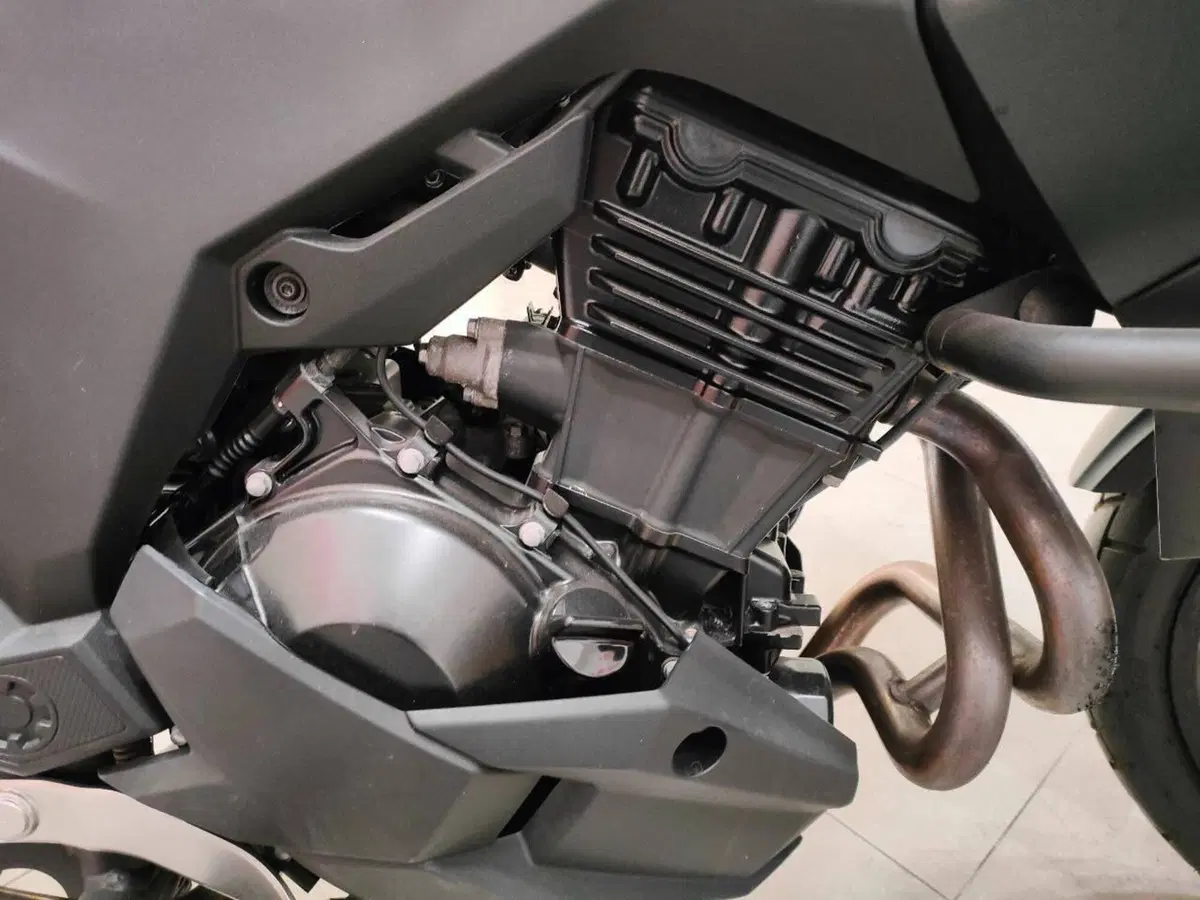 Kawasaki Versys-X 300 (2017 - 20) (5)