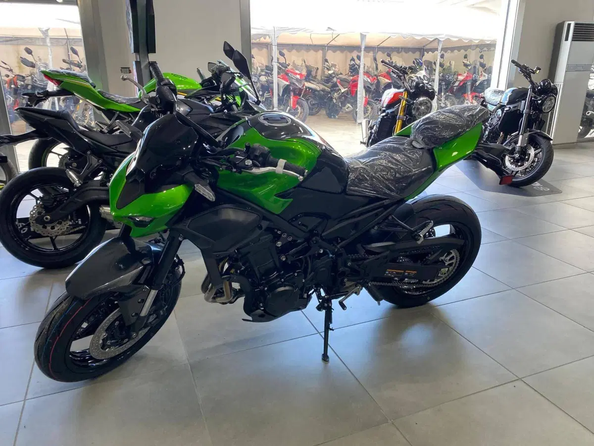 Kawasaki Z 900 (2025 - 26) (3)
