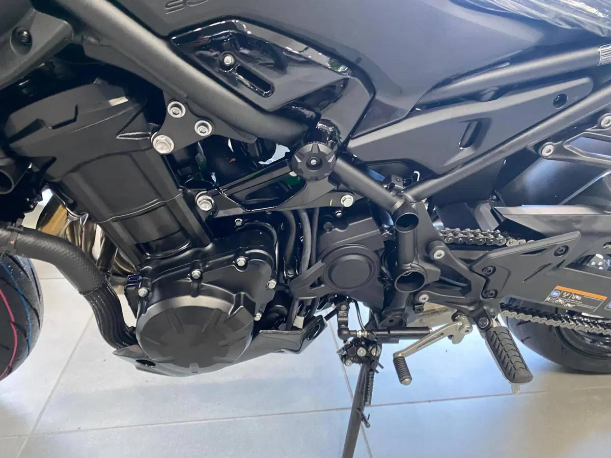 Kawasaki Z 900 (2025 - 26) (9)