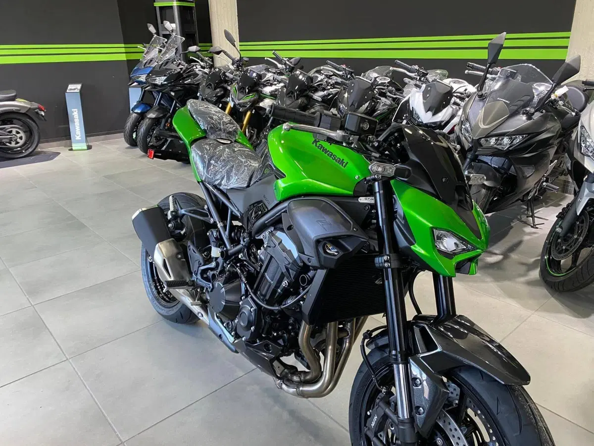 Kawasaki Z 900 (2025 - 26) (4)