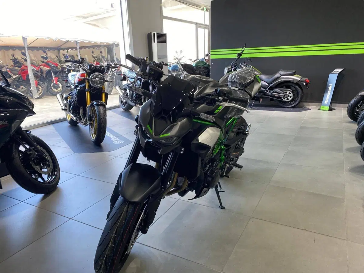 Kawasaki Z 900 (2025 - 26) (3)