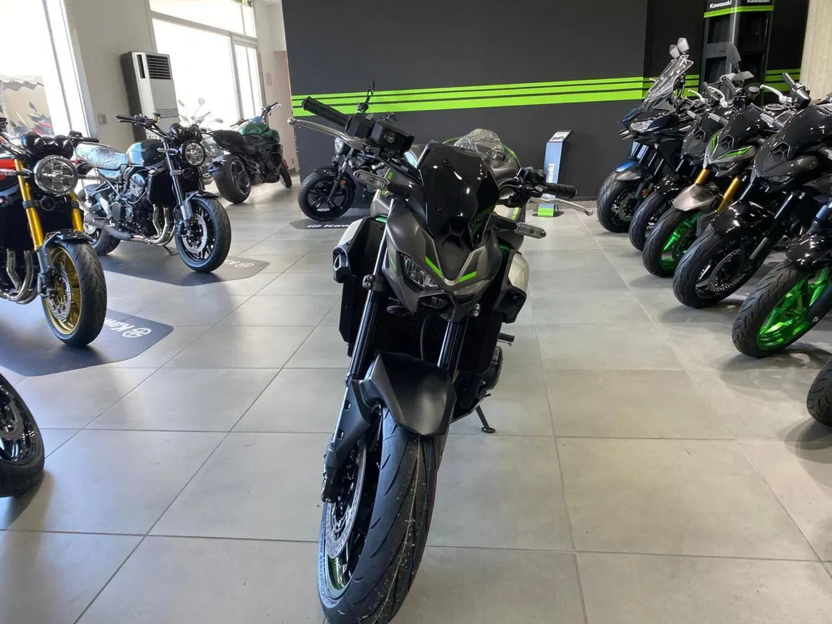 Kawasaki Z 900 (2025 - 26) (4)