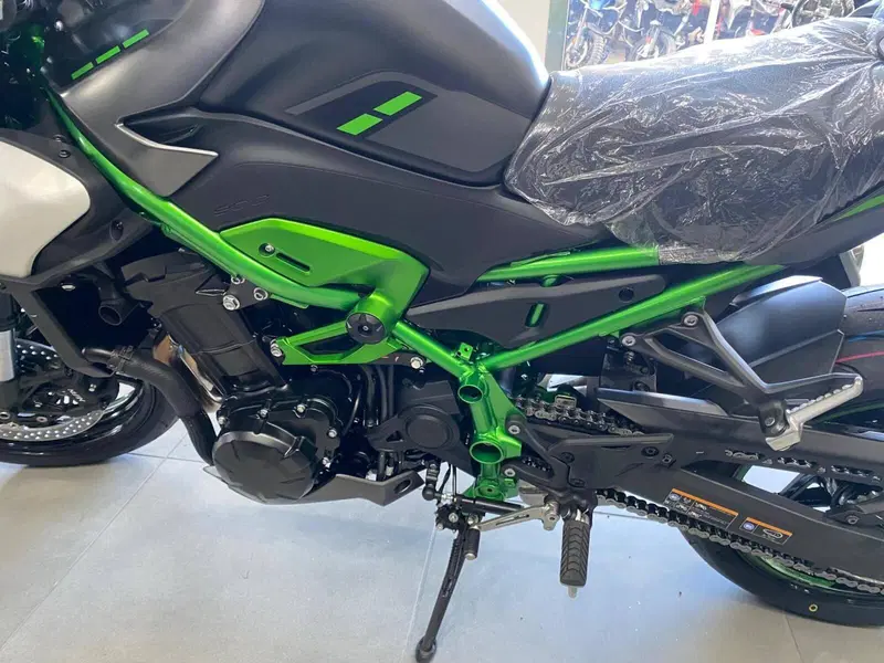 Kawasaki Z 900 (2025 - 26) (11)