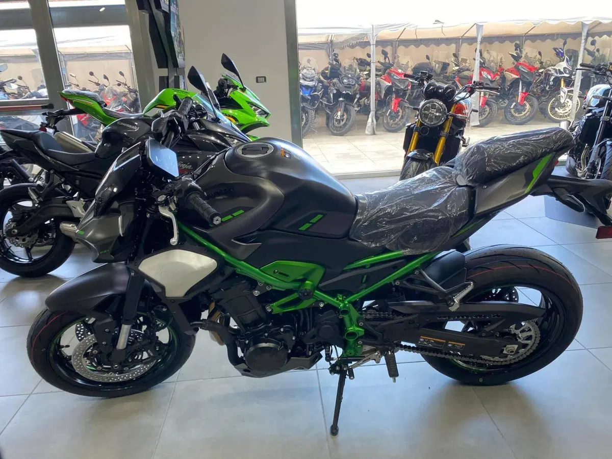 Kawasaki Z 900 (2025 - 26) (2)