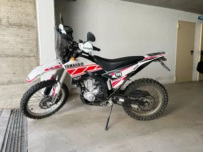Yamaha WR 250 R (2008 - 13) usata