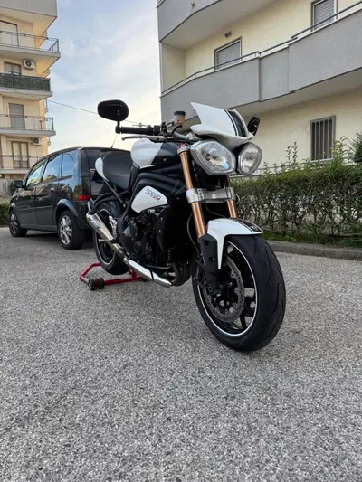 Triumph Speed Triple 1050 (2011 - 13) usata