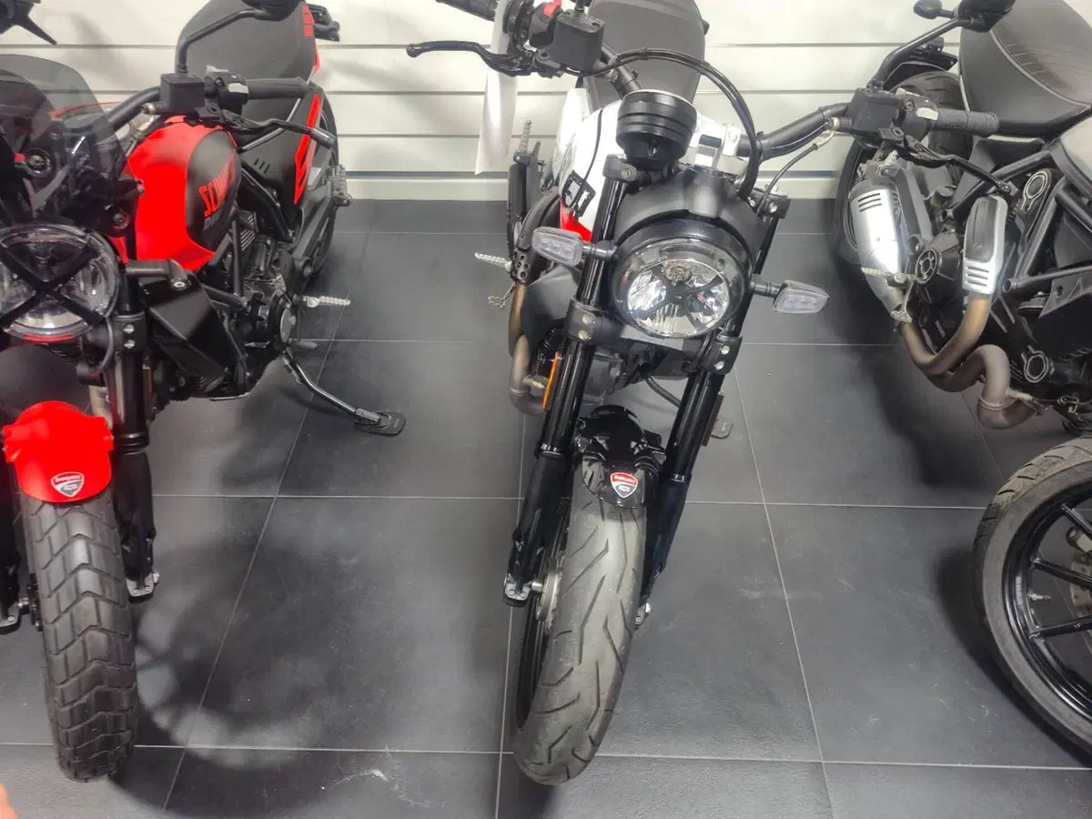 Ducati Scrambler 800 Urban Motard (2022) (5)