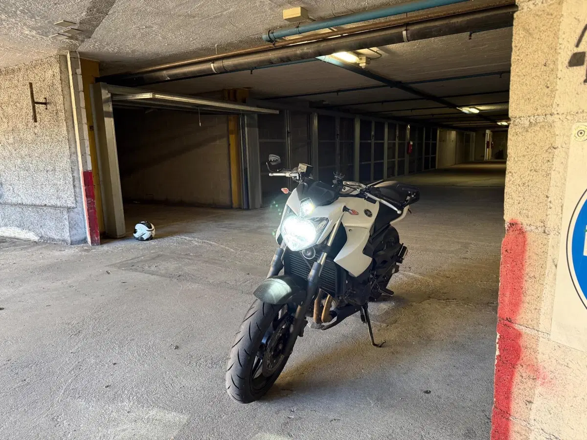 Yamaha XJ6 (2008 - 15) (6)