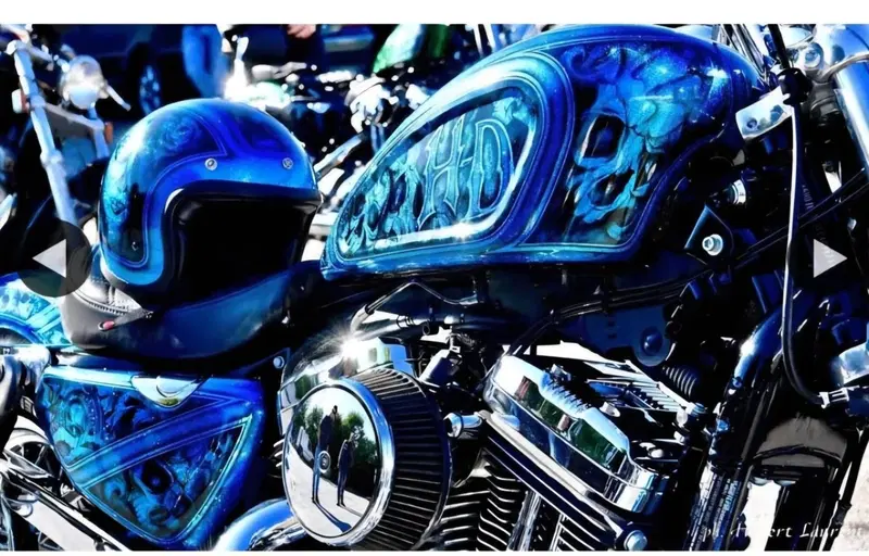 Harley-Davidson 1200 Seventy-Two (2011 - 16) (9)