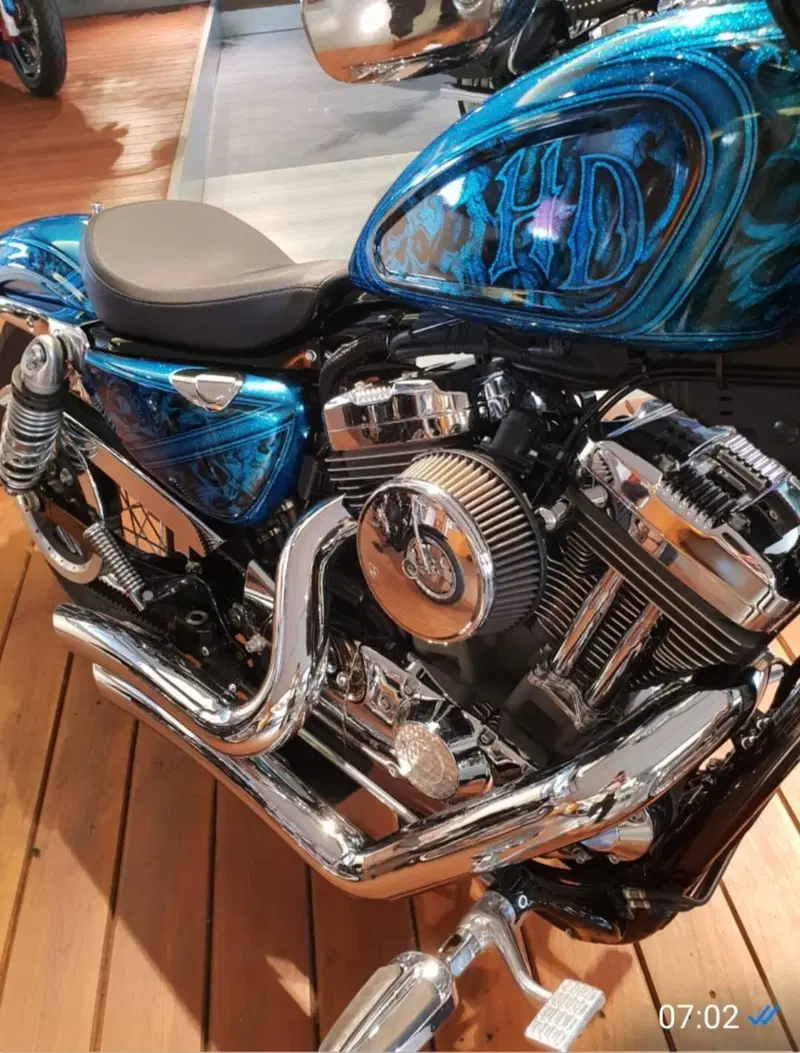 Harley-Davidson 1200 Seventy-Two (2011 - 16) (6)