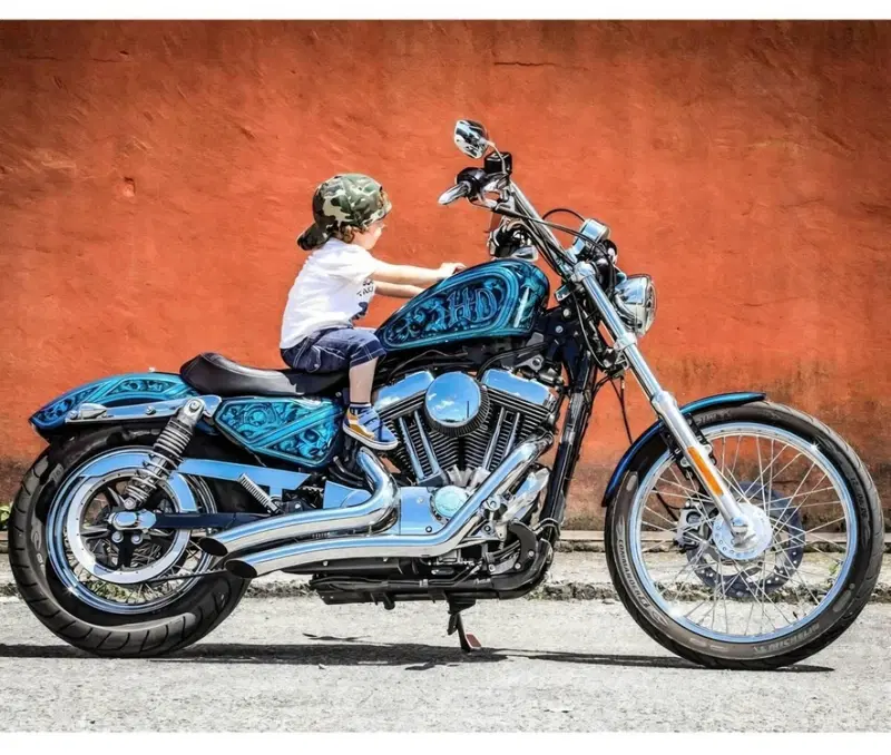Harley-Davidson 1200 Seventy-Two (2011 - 16)