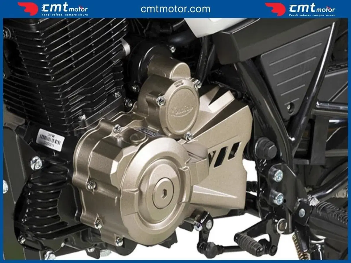 FB Mondial Spartan 250 (2024) (3)