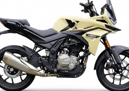 Leonart Racer 300: di racing ha solo il nome