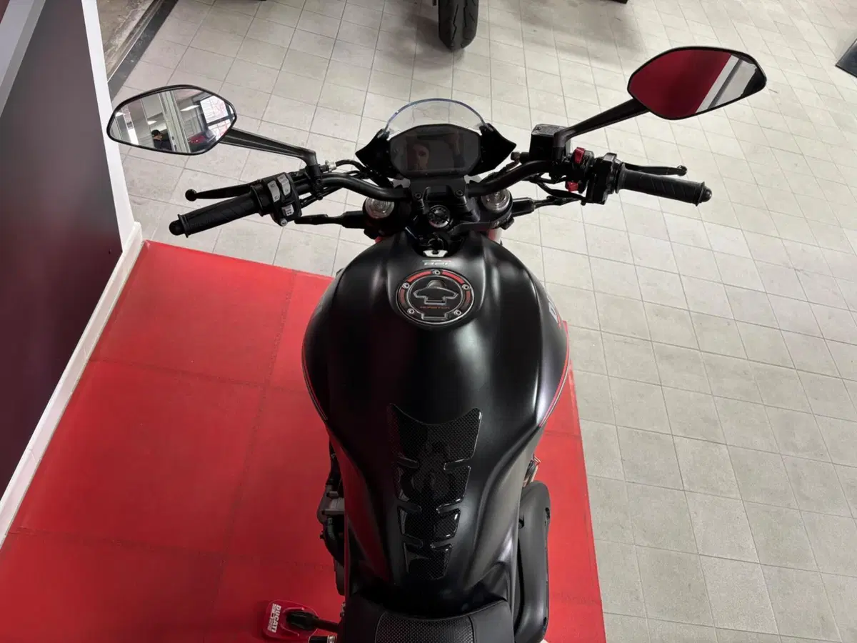 Ducati Monster 821 Stealth (2019 - 20) (5)