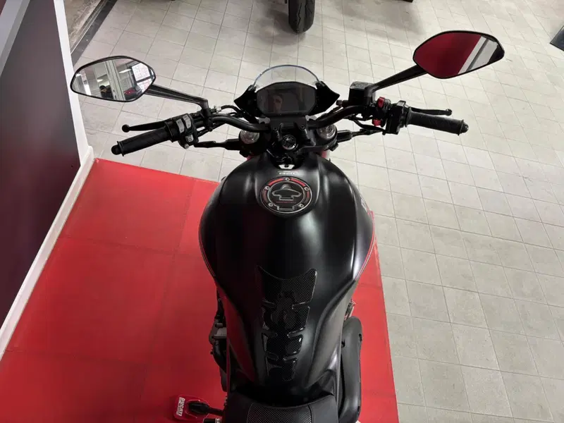 Ducati Monster 821 Stealth (2019 - 20) (5)
