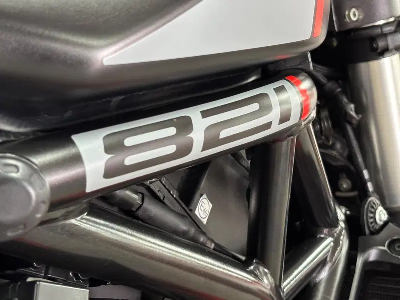 Ducati Monster 821 Stealth (2019 - 20) (11)