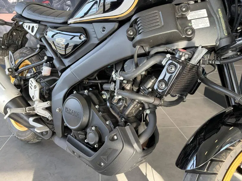 Yamaha XSR 125 Legacy (2022 - 24) (15)