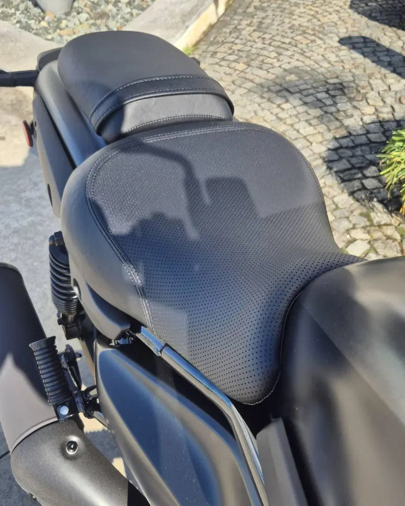 Kawasaki Eliminator 500 SE (2024 - 26) (6)