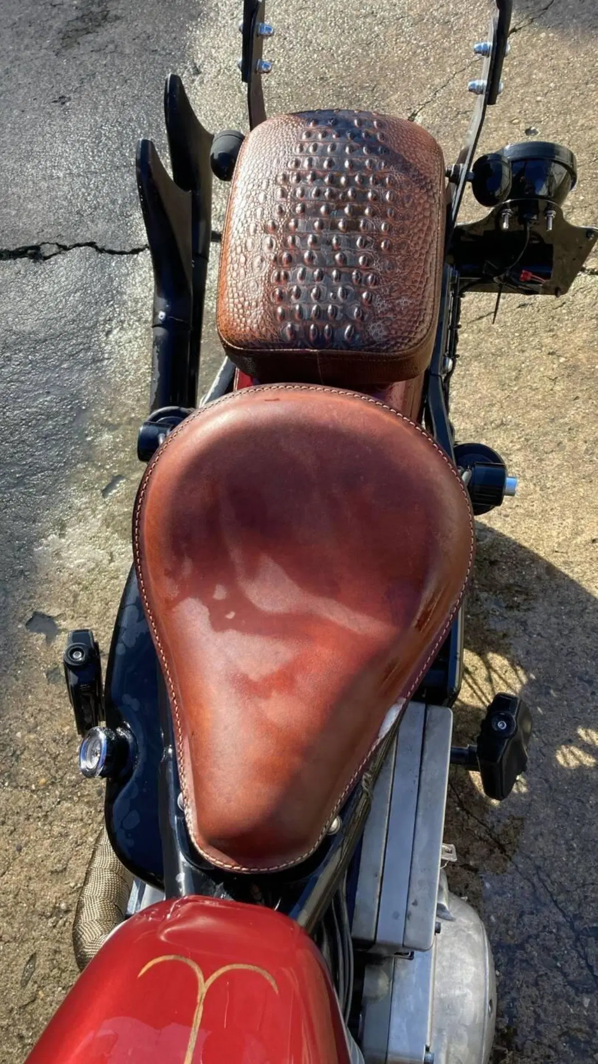 Harley-Davidson 883 Standard (2001 - 05) - XL 883 (4)