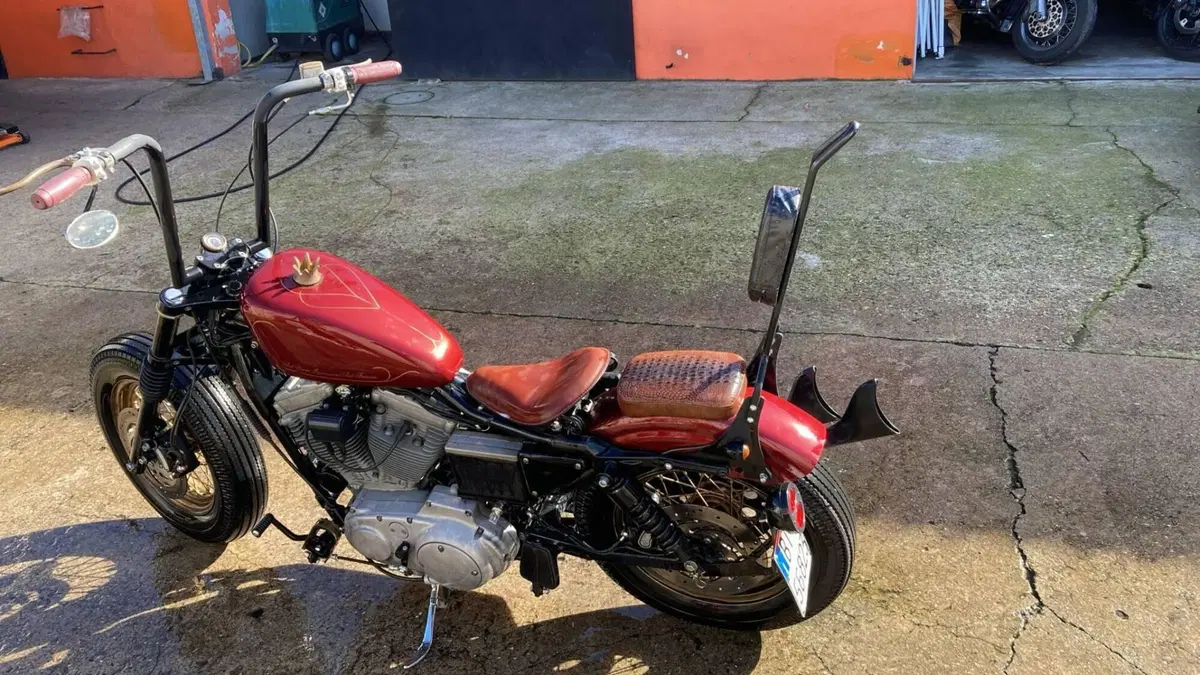 Harley-Davidson 883 Standard (2001 - 05) - XL 883 (6)