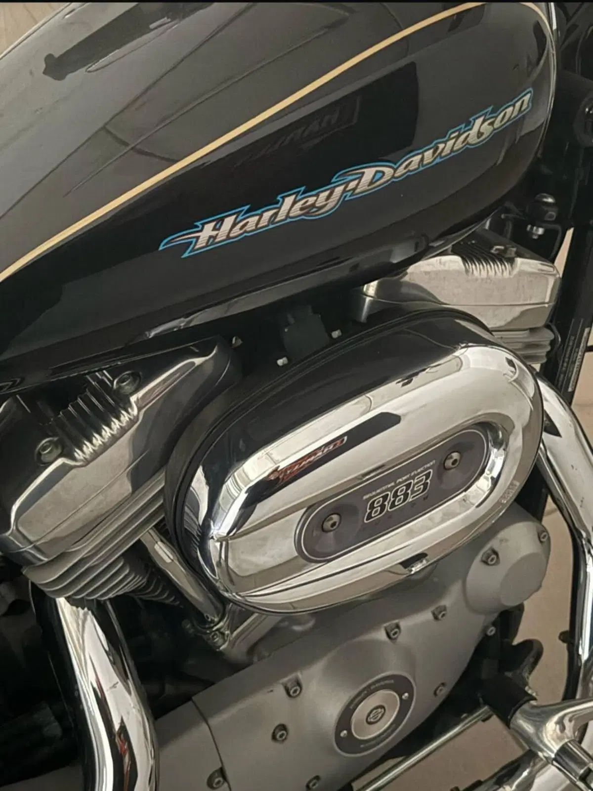 Harley-Davidson 883 Low (2006 - 07) - XL 883L
