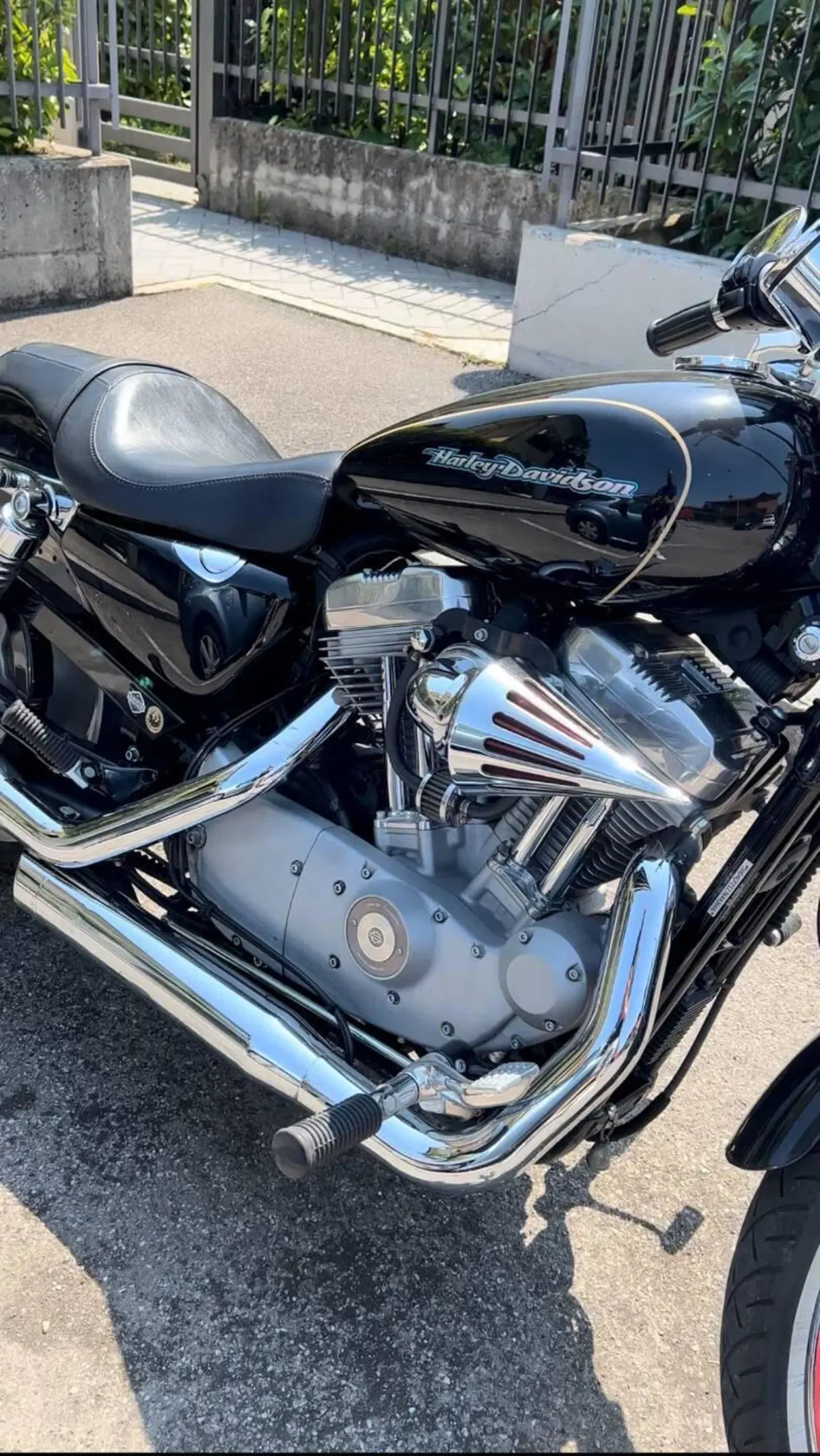 Harley-Davidson 883 Low (2006 - 07) - XL 883L (5)