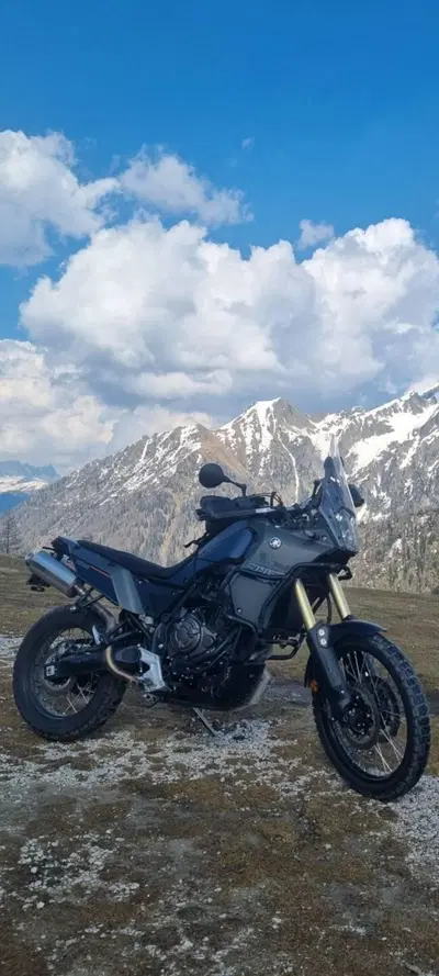 Yamaha T&eacute;n&eacute;r&eacute; 700 (2022 - 24) usata