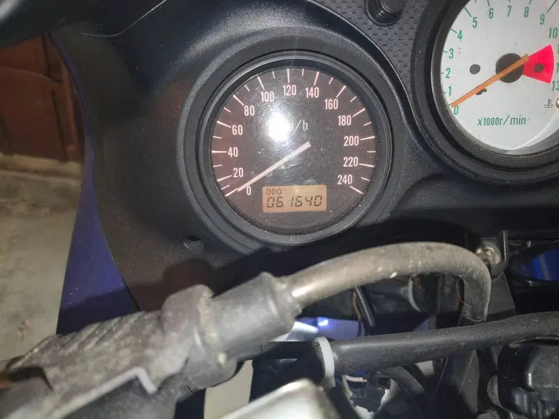 Suzuki SV 650 S (1999 - 02) (14)