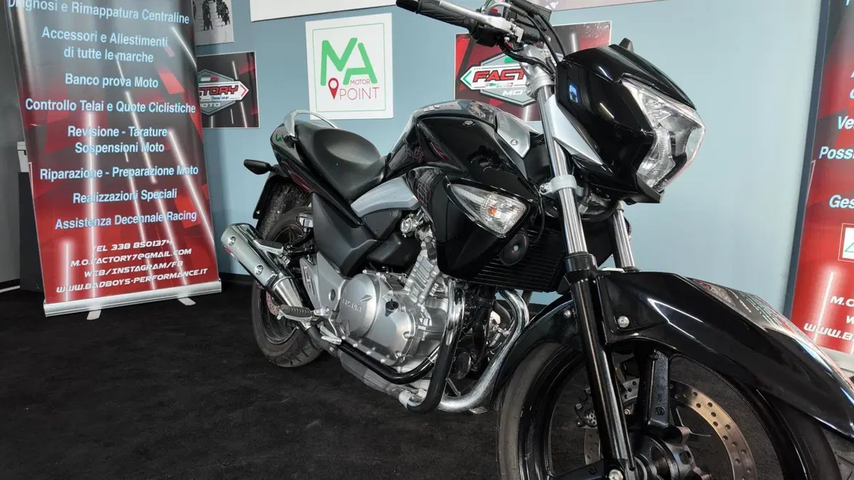 Suzuki Inazuma 250 (2012 - 17) (2)