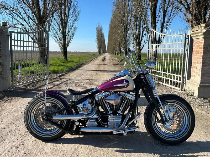 Harley-Davidson 1450 Fat Boy (2003 - 06) - FLSTFI (2)