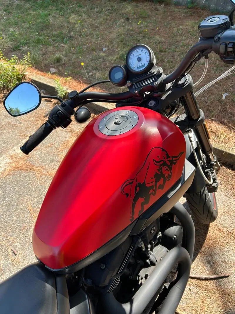 Harley-Davidson 1200 XR X (2010 - 12) (2)