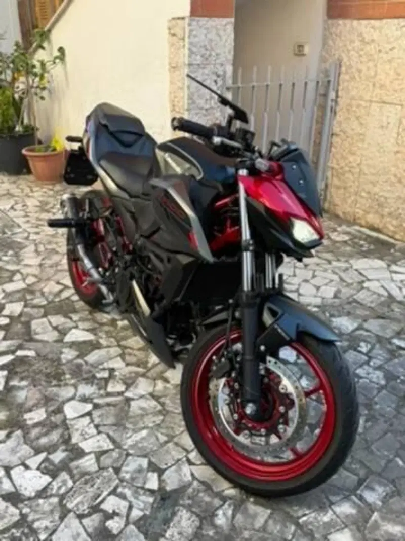 Kawasaki Z 500 SE (2024 - 26) (2)