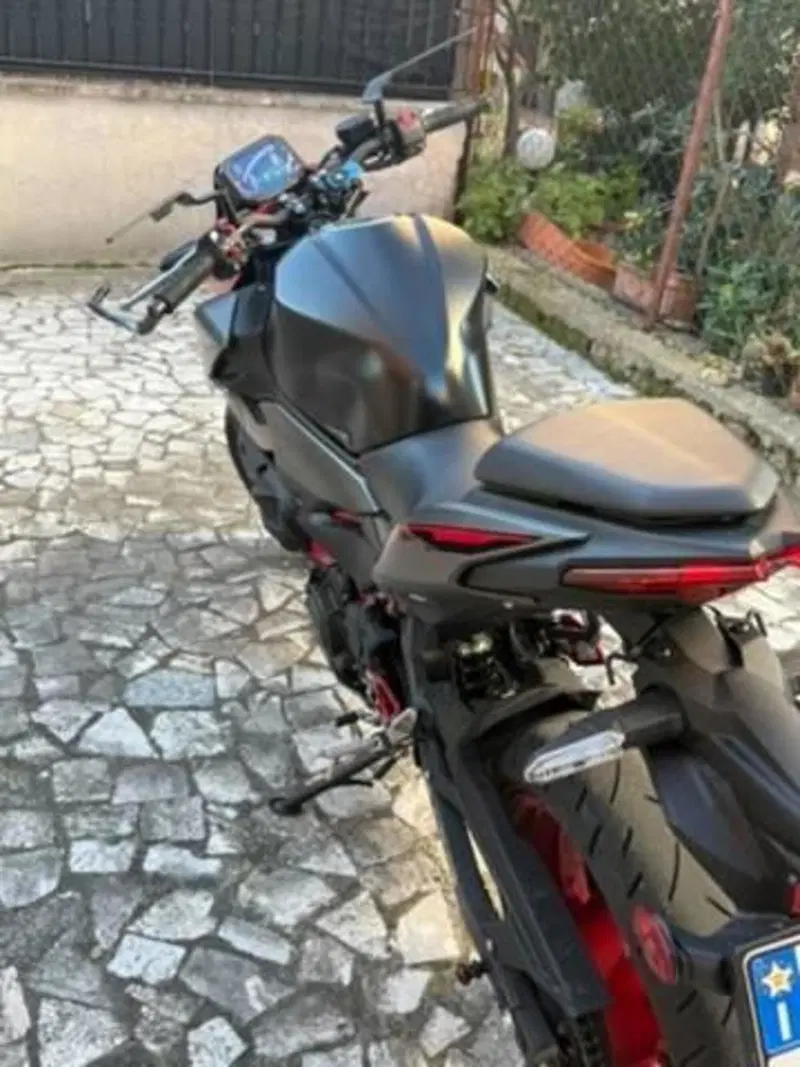 Kawasaki Z 500 SE (2024 - 26) (7)