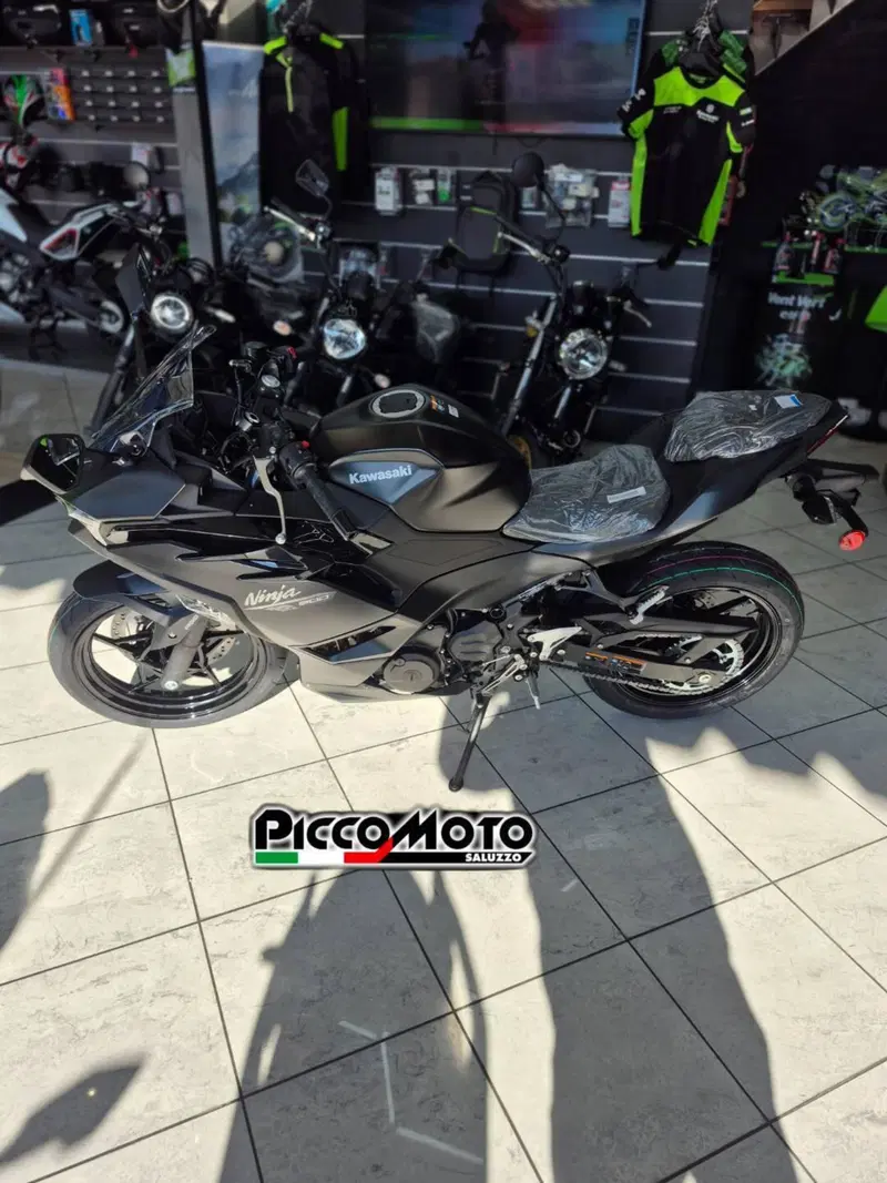 Kawasaki Ninja 500 (2024 - 26) (2)