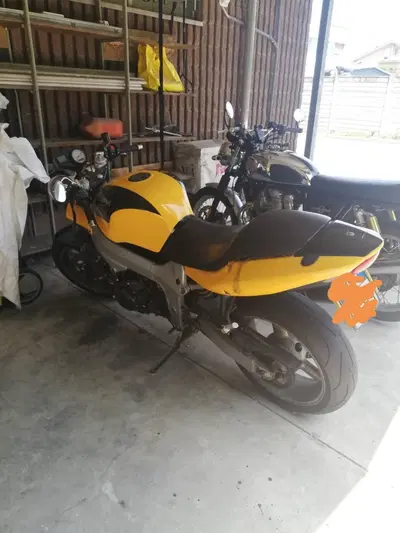 Triumph TT 600 (2002 - 03) usata