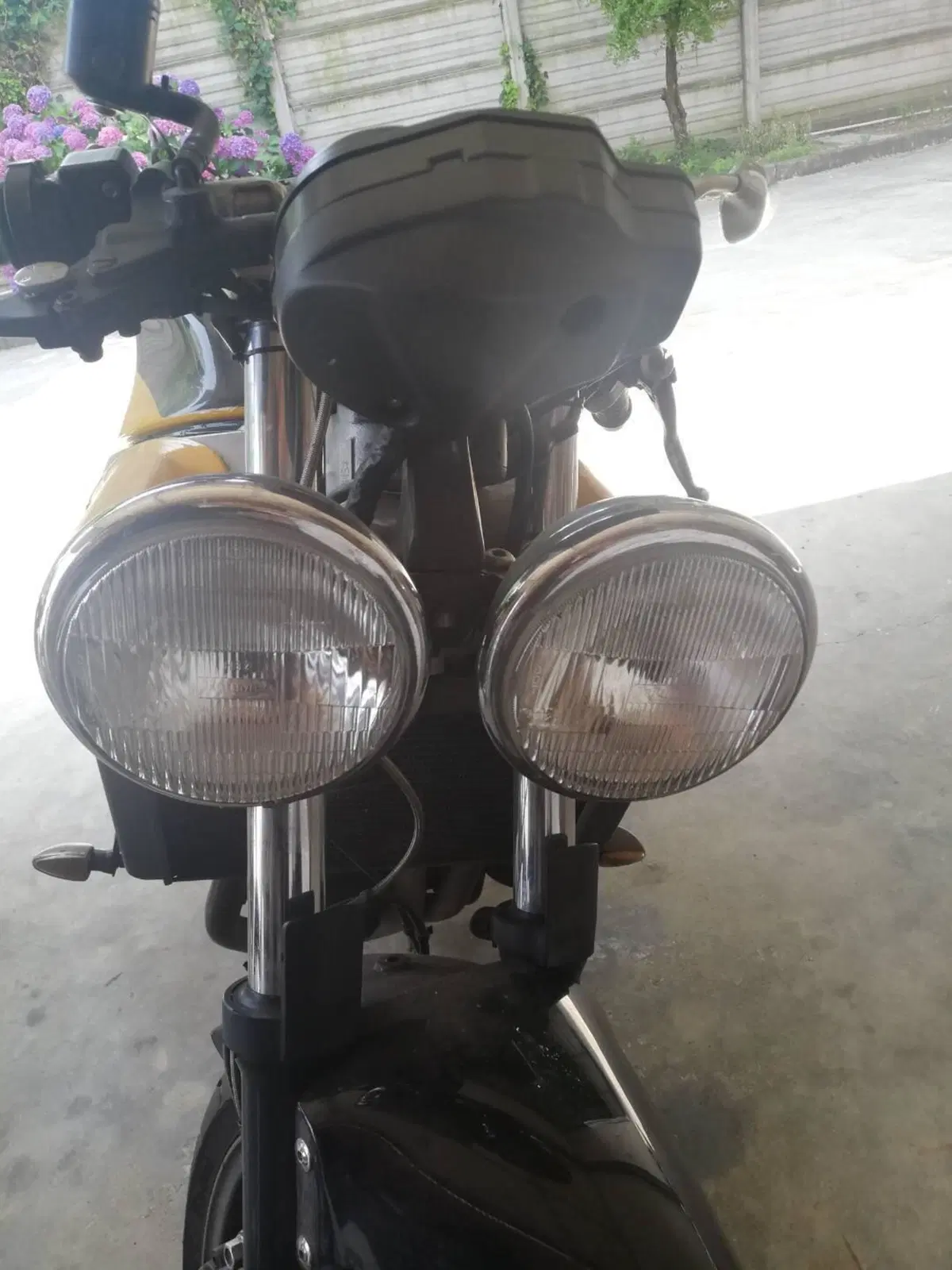 Triumph TT 600 (2002 - 03) (6)
