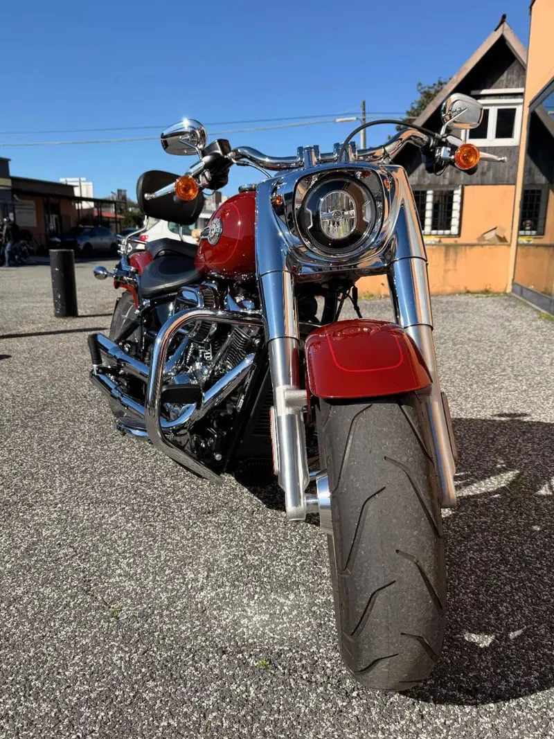 Harley-Davidson Fat Boy 114 (2021 - 24) (8)