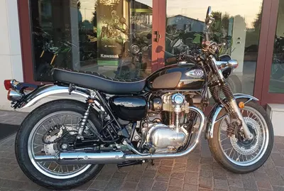 Kawasaki W 800 (2021 - 26) usata