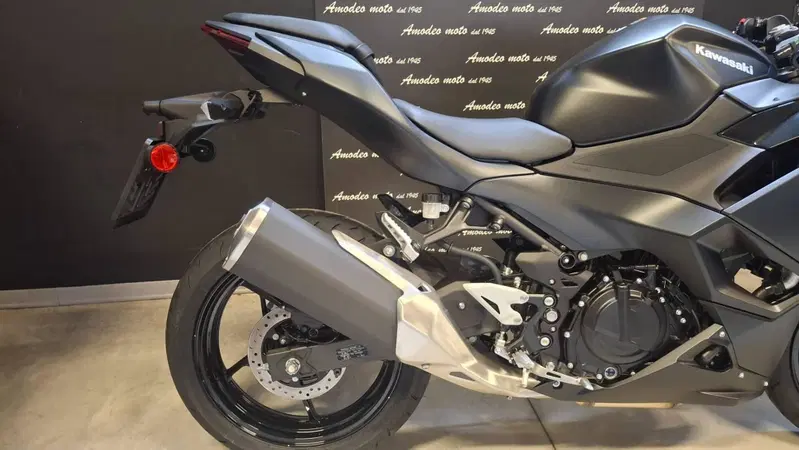 Kawasaki Ninja 500 (2024 - 26) (4)