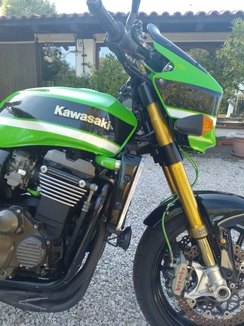 Kawasaki ZRX 1200 R (2000 - 06) (15)