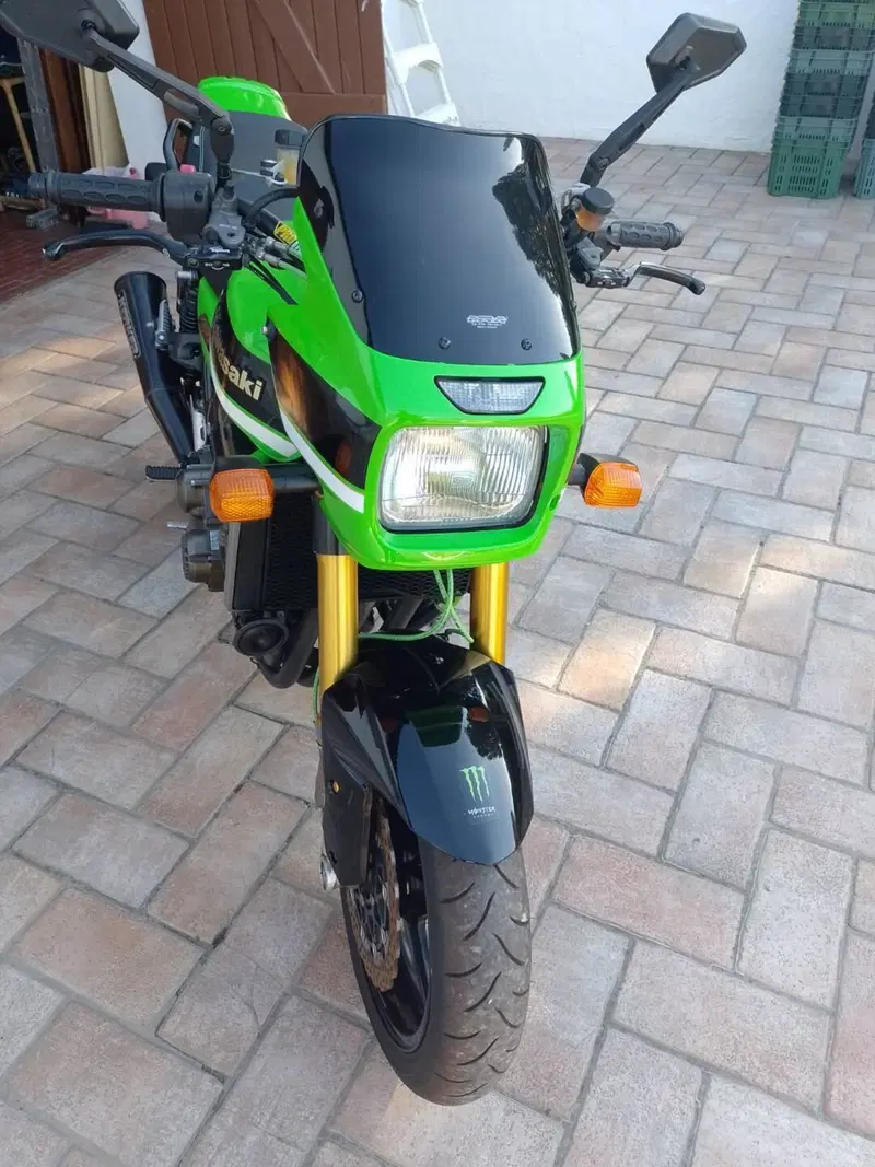 Kawasaki ZRX 1200 R (2000 - 06) (16)