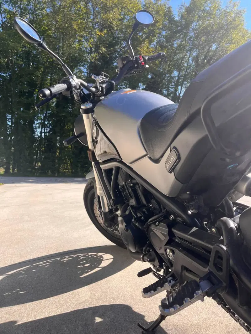 Benelli Leoncino 500 (2021 - 25) (3)