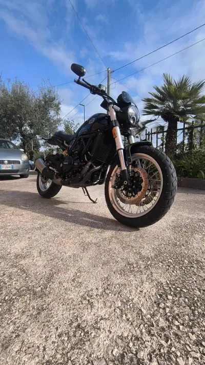Benelli Leoncino 500 Trail (2021 - 26) usata