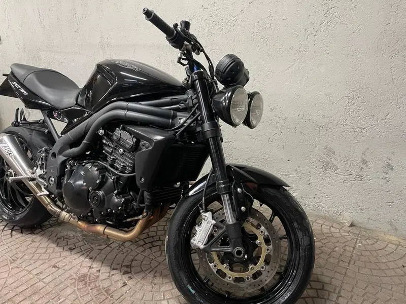 Triumph Speed Triple 1050 (2005 - 11) (2)