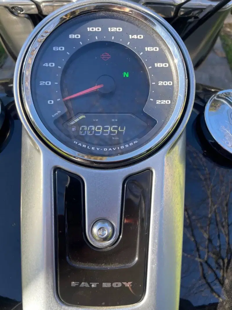 Harley-Davidson Fat Boy 114 (2021 - 24) (8)