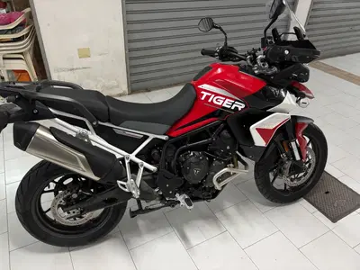 Triumph Tiger 900 GT Arag&oacute;n Edition (2023 - 24) usata