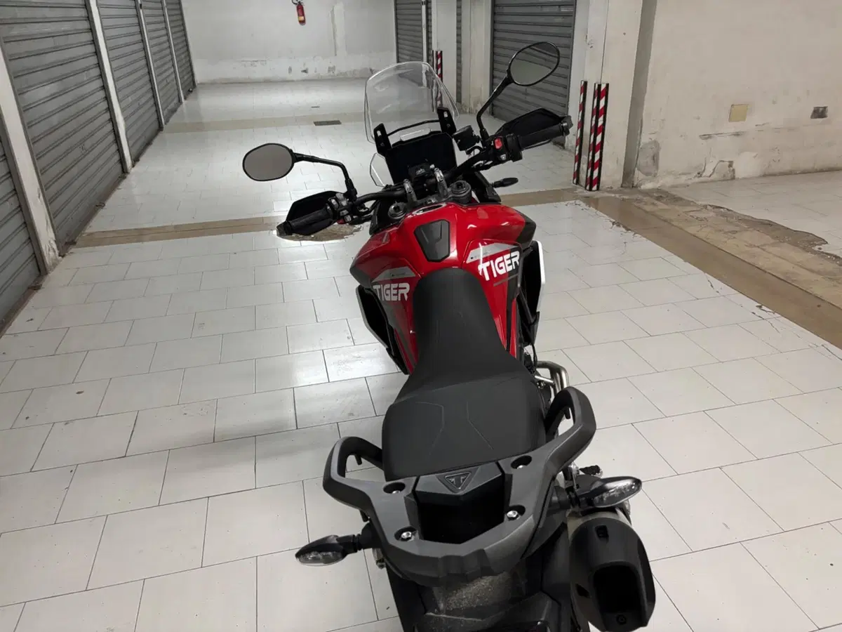 Triumph Tiger 900 GT Aragón Edition (2023 - 24) (8)