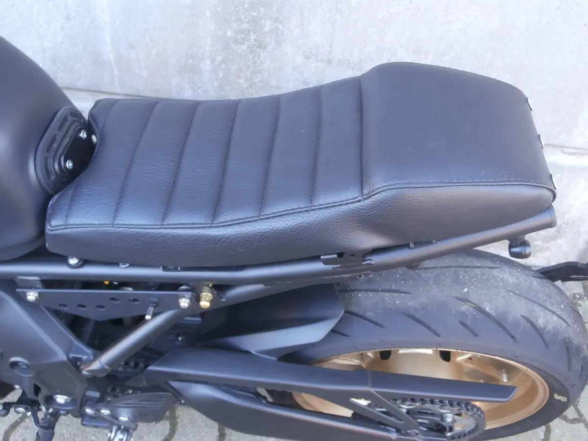 Yamaha XSR 900 (2022 - 24) (10)